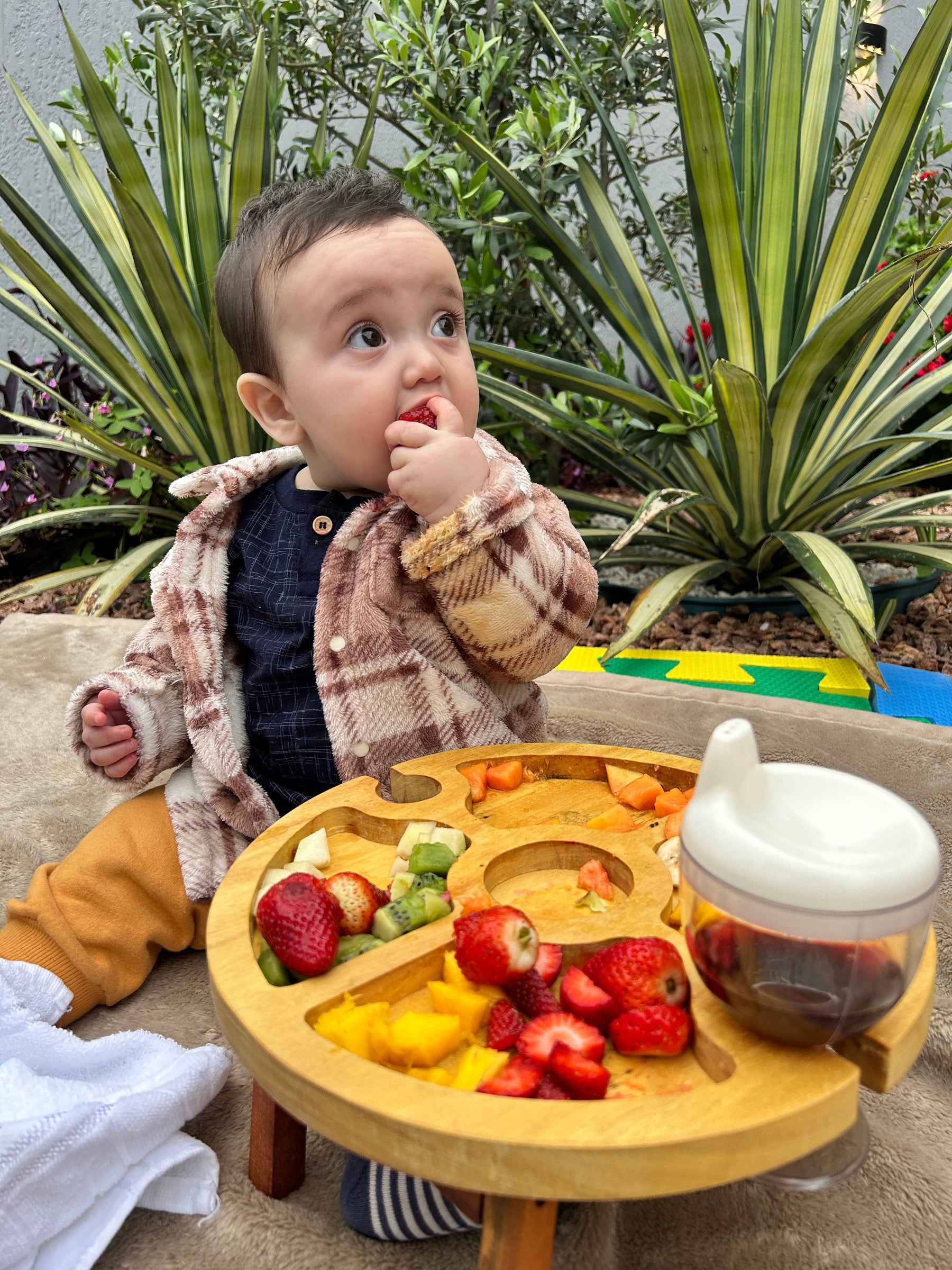 Petisqueira para Criança + Taça Mamadeira GRÁTIS